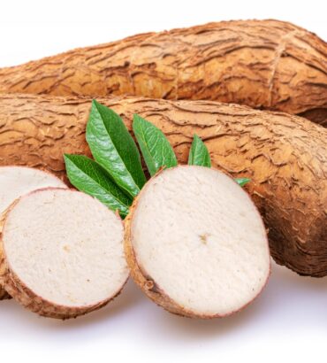 Cassava